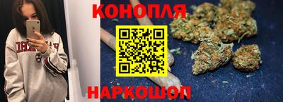 твердый Будённовск